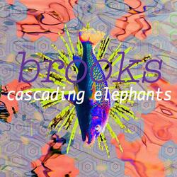 Brooks