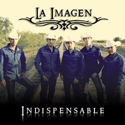 Indispensable (Acústico)