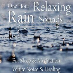 1 Hour Relaxing Rain Sounds for Sleep, Meditation, White Noise & Healing