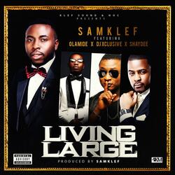 Living Large (feat. Olamide, Shaydee & DJ Xclusive)