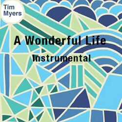 A Wonderful Life (Instrumental)