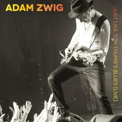 Just Like Tom Thumb's Blues (Live)