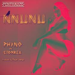 Nnunu (feat. Stormrex)