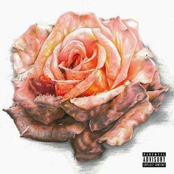 Feels Right (feat. Young Sin)