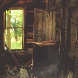 Apples to Apples, Dust to Dust