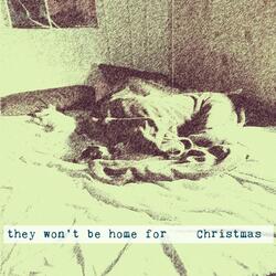 They Won't Be Home for Christmas