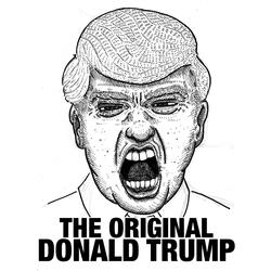 My Name Is Donald Trump