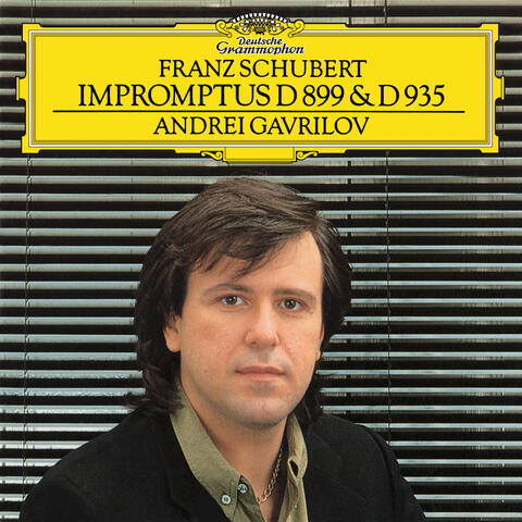 Schubert: Impromptus Op.90, D.899 & Op.142, D.935