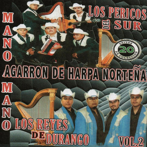 20 Exitos Agarron De Harpa Nortena  Vol.2