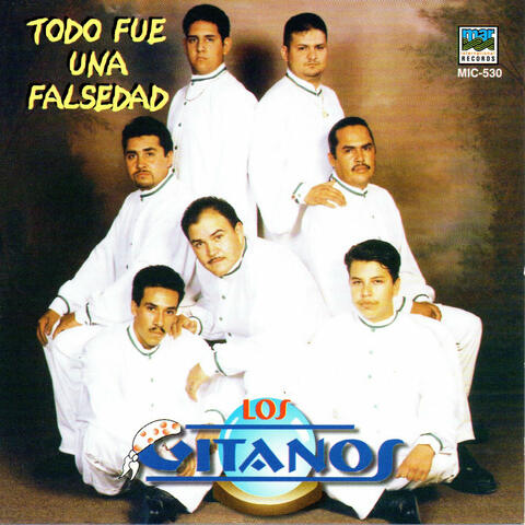 Todo Fue Falsedad