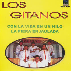 Mi Ultimo Adios