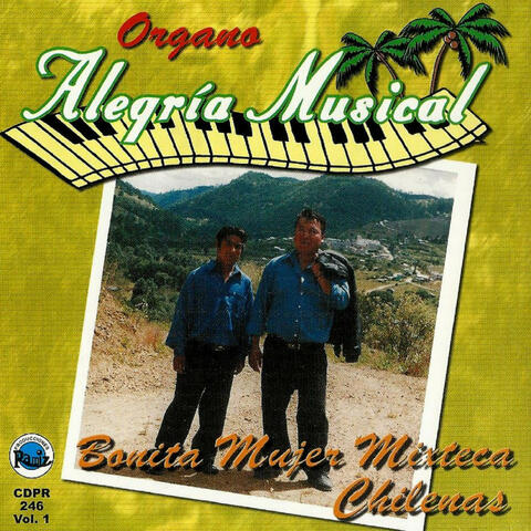 Bonita Mujer Mixteca  Chilenas