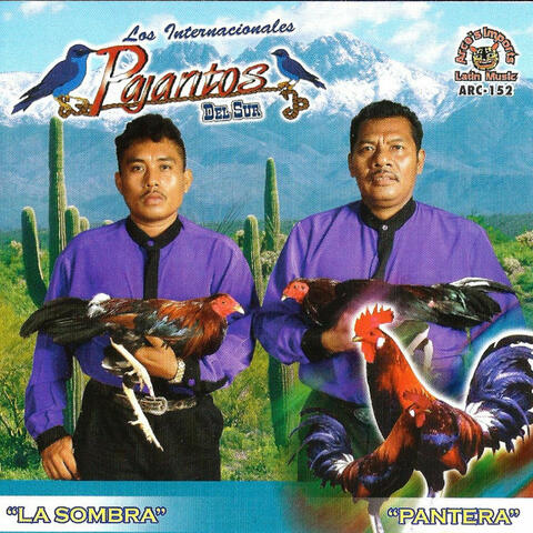 La Sombra