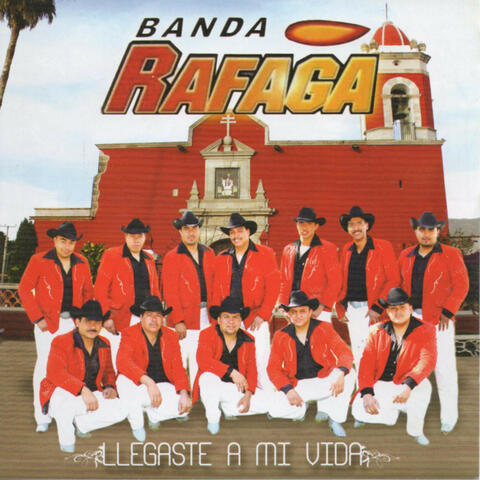 Llegaste A Mi Vida