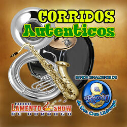 Corrido al Chicano