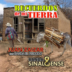Puño De Tierra