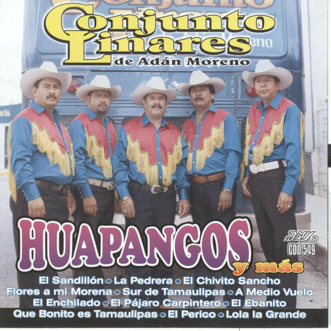 Huapangueando Y Mas