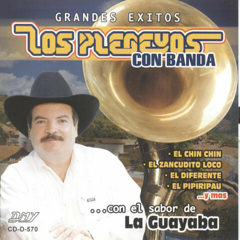 Grandes Exitos