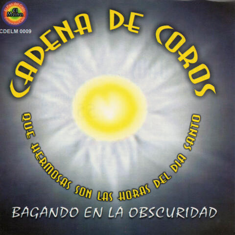 Bagando en la Obscuridad