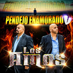Pendejo Enamorado