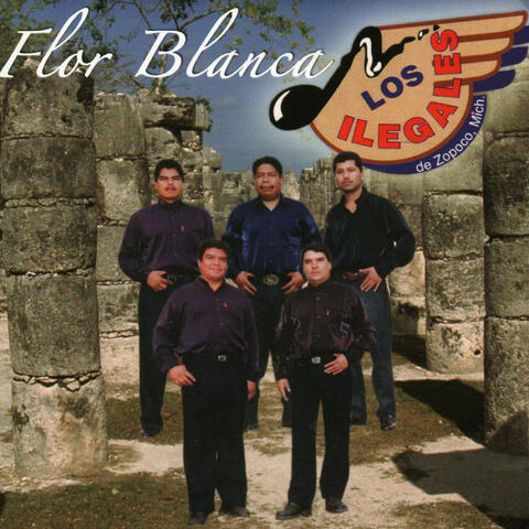 Flor Blanca