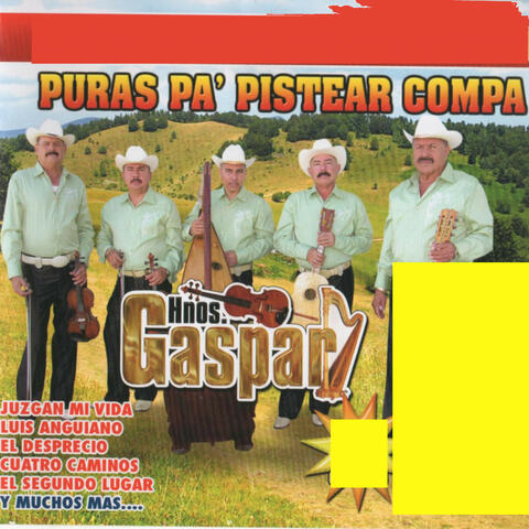 Puras Pa' Pistear Compa