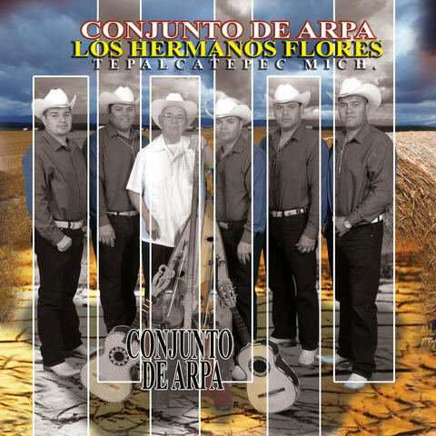 Conjunto De Arpa