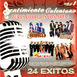 Corrido De La Placita