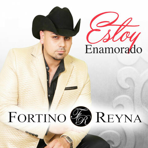 Estoy Enamorado