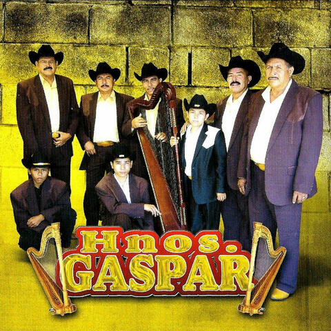 Quisieron Tumbar Al Jefe