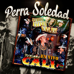 Perra Soledad