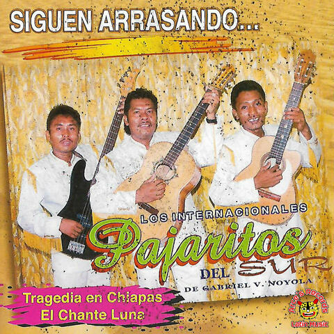 Siguen Arrasando