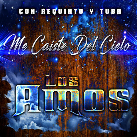 Me Caiste del Cielo