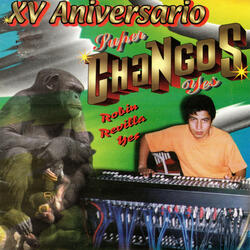 Introchangos Fin de Milenio