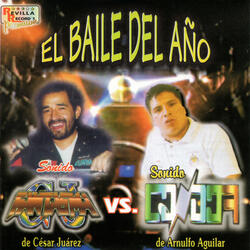 Cumbia del Llanero Solitario