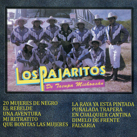 Los Pajaritos De Tacupa Michoacan