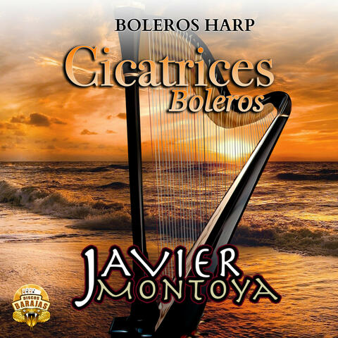 Cicatrices Boleros