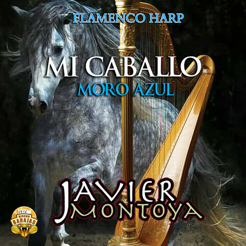Mi Caballo Moro Azul