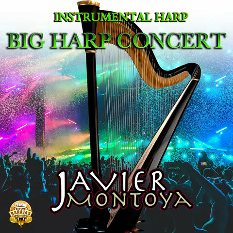 Big Harp Concert