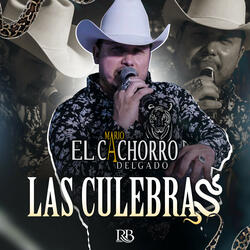 Las Culebras