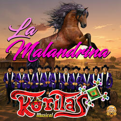 La Malandrina