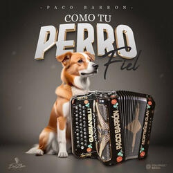 Como Tu Perro Fiel