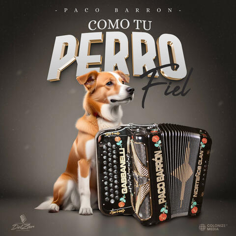 Como Tu Perro Fiel