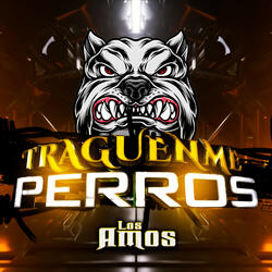 Traguenme Perros