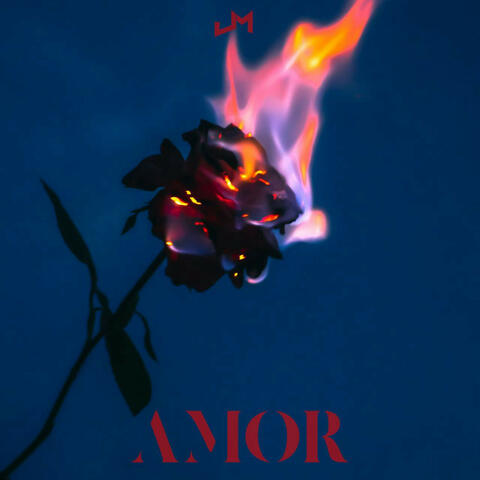 Amor