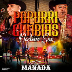 Popurri de Cumbias Norteño Sax
