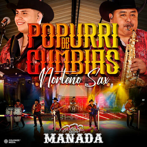 Popurri de Cumbias Norteño Sax