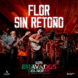 Flor Sin Retoño