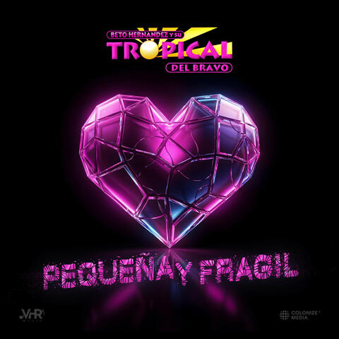 Pequeña y Frágil