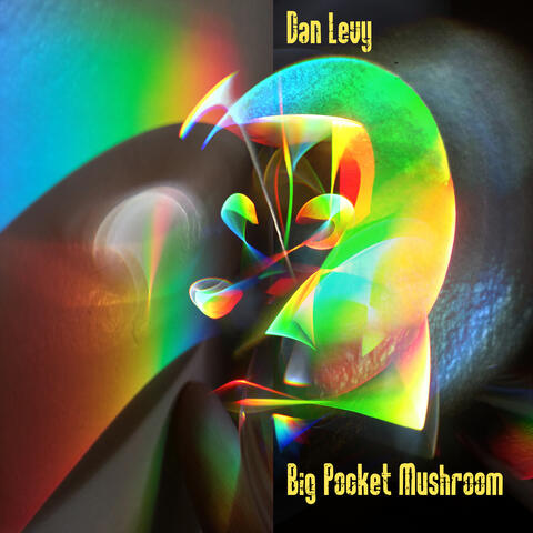 Big Pocket Mushroom